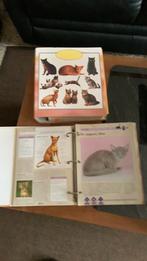 Alles over katten, Boeken, Ophalen, Zo goed als nieuw, Katten