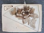 Formicarium België gratis, Dieren en Toebehoren, Ophalen, Gebruikt