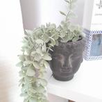 Bouddha avec eucalyptus suspendu (plante artificielle), Enlèvement ou Envoi, Neuf