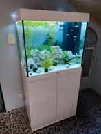Aquarium juwel complet 200 litres, Ophalen, Zo goed als nieuw