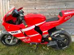 Elektrische motor Ducati GP (12V) Peg-Perego rood, Motoren, Particulier