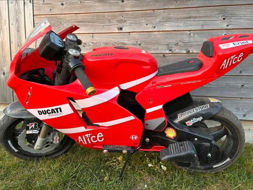 Elektrische motor Ducati GP (12V) Peg-Perego rood, Motoren, Motoren | Honda, Particulier, Ophalen