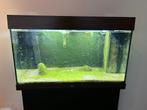 RIO 125 - (80x40x40cm), Dieren en Toebehoren, Ophalen, Gebruikt, Leeg aquarium