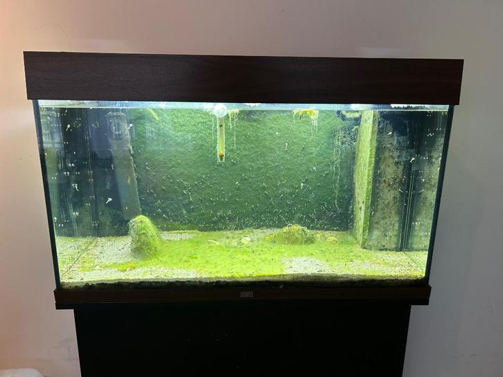 RIO 125 - (80x40x40cm), Dieren en Toebehoren, Vissen | Aquaria en Toebehoren, Gebruikt, Leeg aquarium, Ophalen
