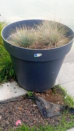 bloempot, Ophalen, Gebruikt