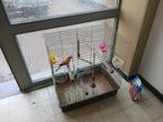 Parkieten, Dieren en Toebehoren, Vogels | Hokken en Kooien, Ophalen