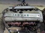 Motor Jaguar X300 3.2, Jaguar, Gebruikt, Ophalen of Verzenden