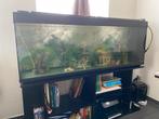 Aquarium 150x40x60 met onderkast en accessoires, Zo goed als nieuw, Ophalen