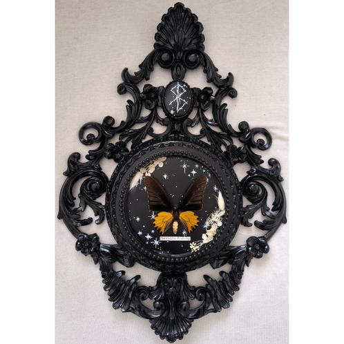 GRAND CADRE BAROQUE & PAPILLON NATURALISÉ - MODÈLE UNIQUE, Huis en Inrichting, Woonaccessoires | Lijsten, Nieuw, 50 tot 75 cm