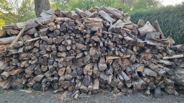 Brandhout Mix van veel soorten hout  beschikbaar voor biedingen