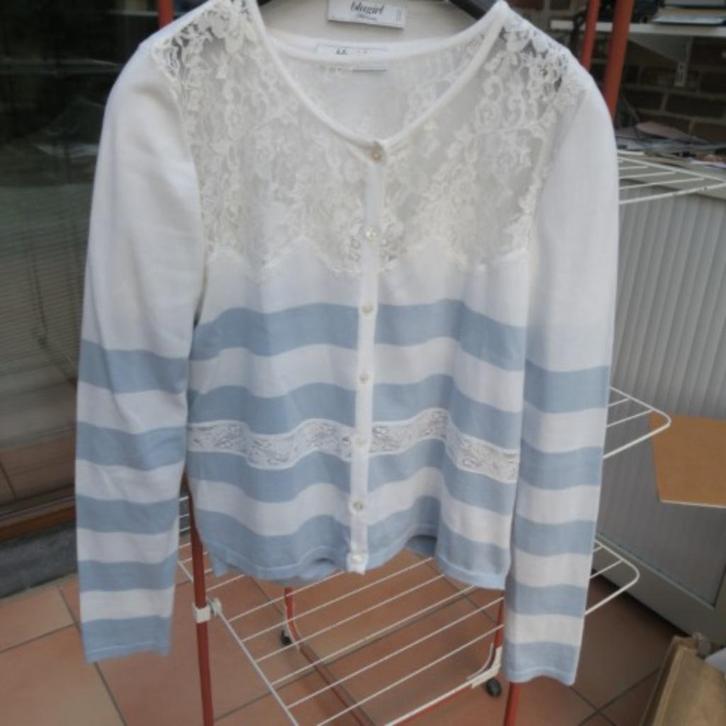 Twinsetje wit kant strepen blauw Blugirl mt 40 (it44), Kleding | Dames, Truien en Vesten, Zo goed als nieuw, Maat 38/40 (M), Wit