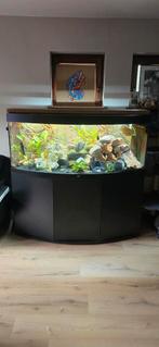Juwel vision 450L, Dieren en Toebehoren, Ophalen, Zo goed als nieuw