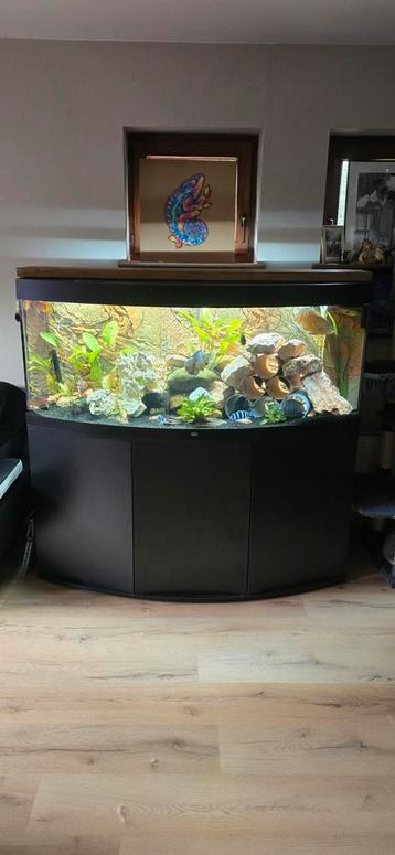 Juwel vision 450L beschikbaar voor biedingen