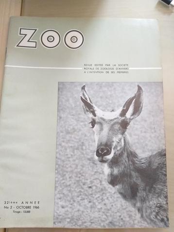 Driemaandelijkse tijdschriften Zoo Antwerpen beschikbaar voor biedingen