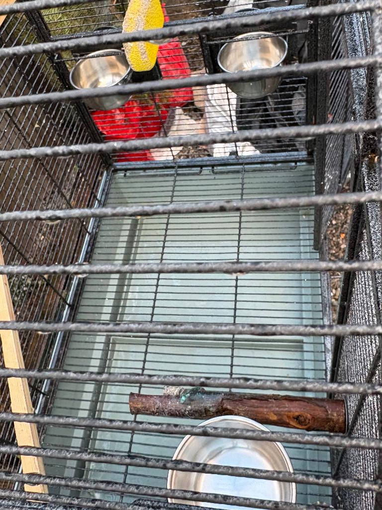 Cage sur roulette, Enlèvement