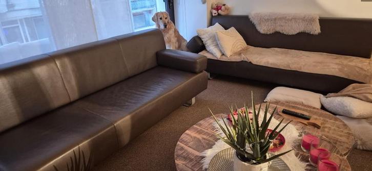 2 lederen zetels in goede staat! Elk bod wordt bekeken, Huis en Inrichting, Zetels | Zetels, Gebruikt, Ophalen