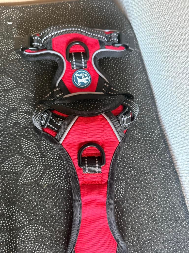 Harnais chien, Animaux & Accessoires, Envoi, Neuf