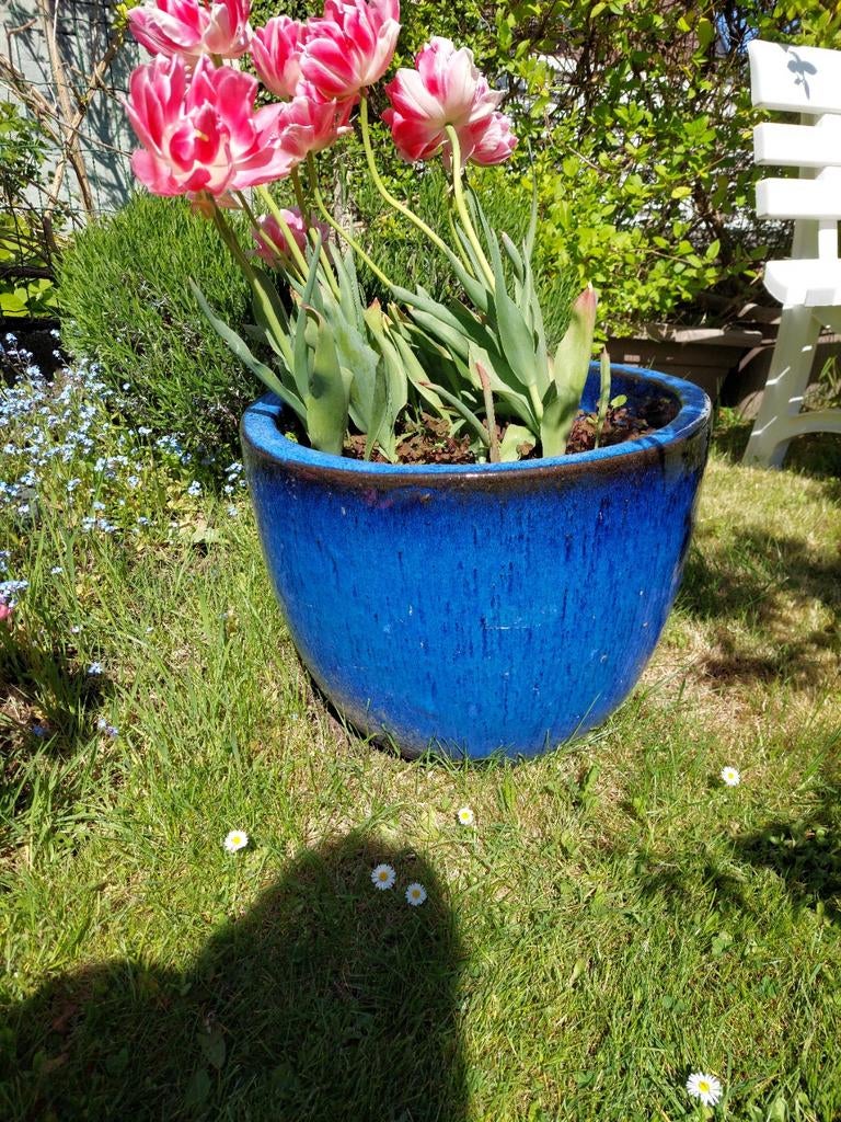 Grand pot céramique, Jardin & Terrasse, Bacs à fleurs & Jardinières, Enlèvement