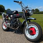 (Skyteam) Dax pro, Enlèvement, Utilisé, Classe B (45 km/h), 50 cm³