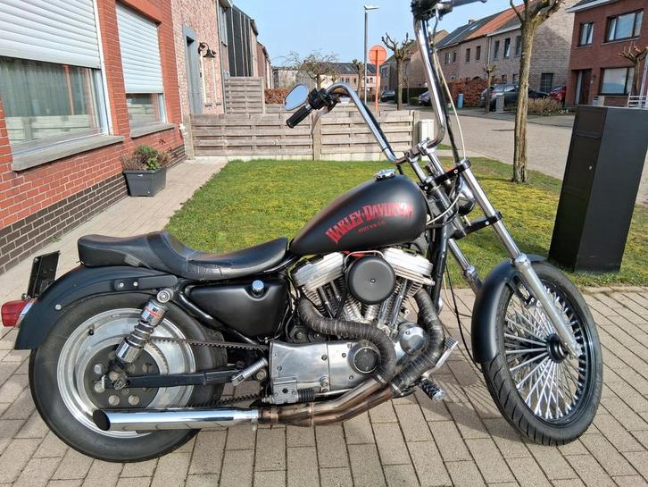 Harley Davidson Sportster 883, Motoren, Motoren | Harley-Davidson, Particulier, Chopper, Ophalen
