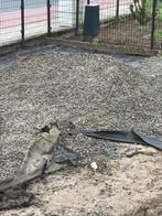 Gratis Kiezelstenen, Tuin en Terras, Ophalen, Zo goed als nieuw, Grijs