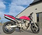 Honda Hornet CB600F circuit moto, Particulier