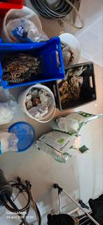 Aquarium 60L + kast + osmose aparaat + stenen, Dieren en Toebehoren, Ophalen, Verwarming, Leeg aquarium, Aquatlantis