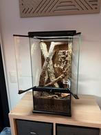 Terrarium Exoterra30x30x60cm, Enlèvement, Comme neuf