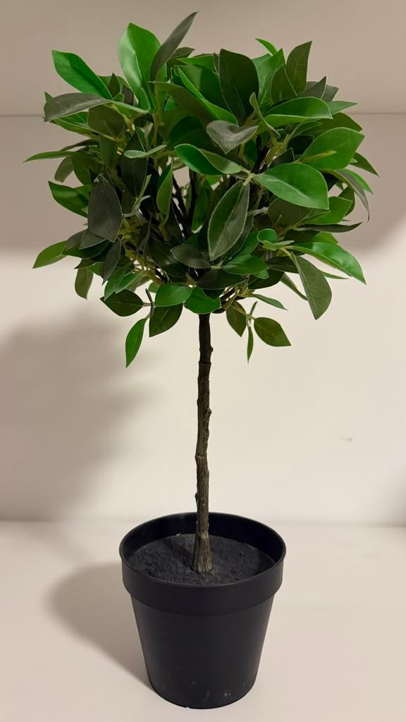 2 x Ficus Kunstplant 42 cm Hoog, Neuf, Enlèvement ou Envoi, Vert, Plante artificielle