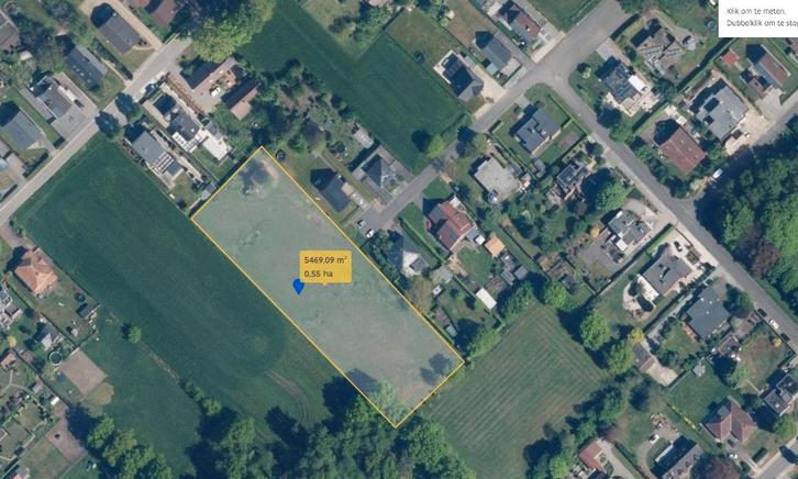 Wei te huur, Dieren en Toebehoren, Stalling en Weidegang, 1 paard of pony