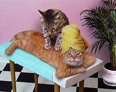 ik man 60+ geef ontspannende massage aan v-m-mv en vv