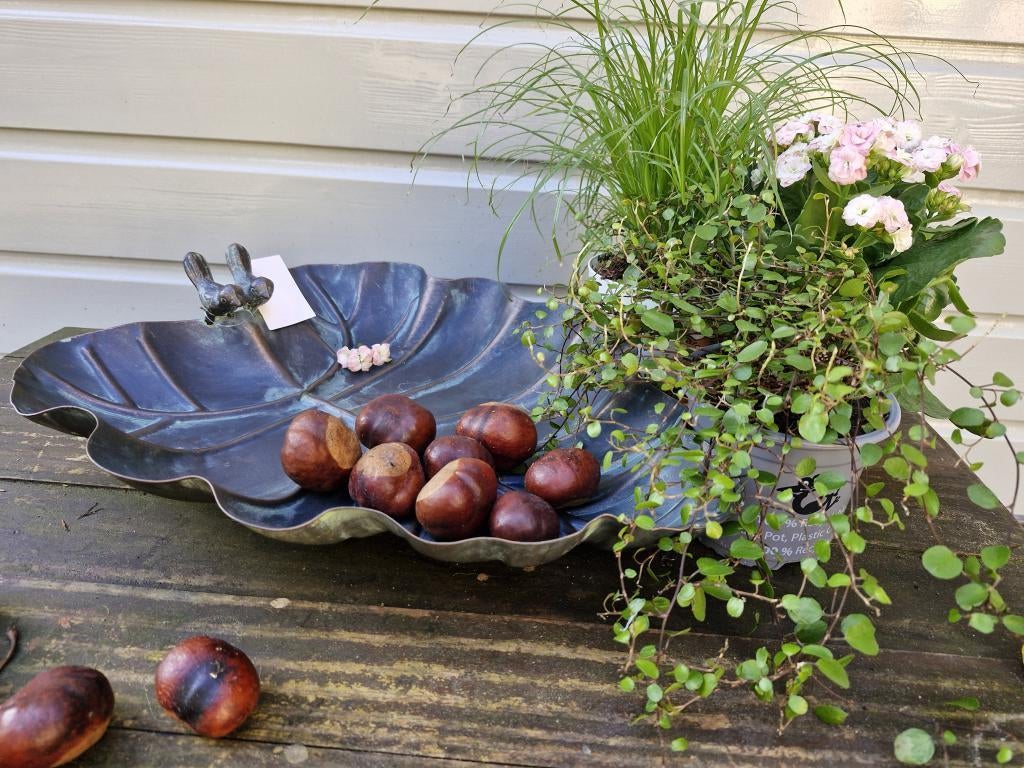 vogelbad , of schaal, Tuin en Terras, Ophalen of Verzenden, Nieuw