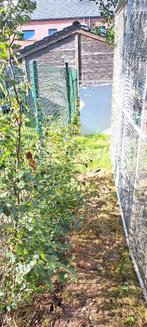 Voliere 3m op 2m, Dieren en Toebehoren, Ophalen, Gebruikt, Aluminium, Volière