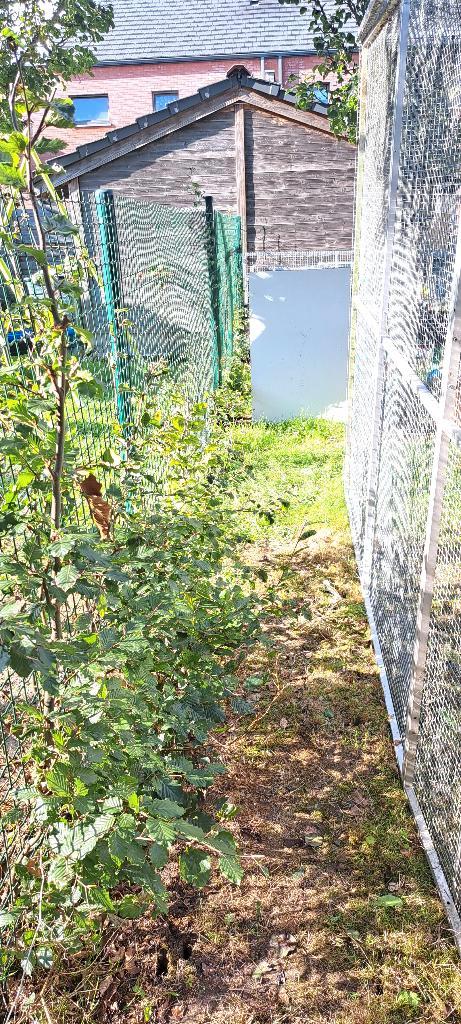 Voliere 3m op 2m, Dieren en Toebehoren, Vogels | Hokken en Kooien, Gebruikt, Volière, Aluminium, Ophalen