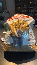 Royal canin droge voeding  voor britse korthaar adult, Enlèvement, Chat