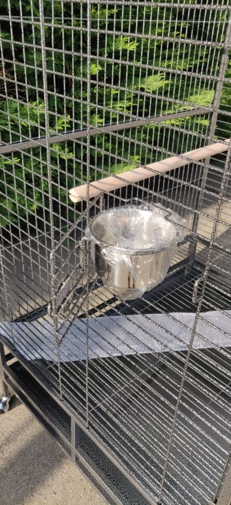 NOUVELLE CAGE À PERROQUETS, Enlèvement