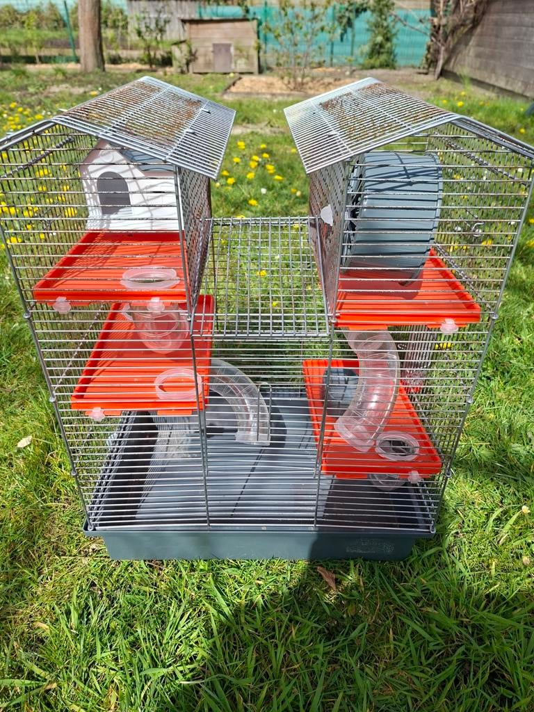 Hamsterkooi, Ophalen, Kooi, Hamster