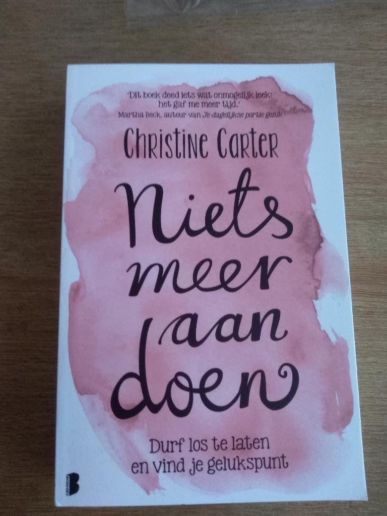 NIETS MEER AAN DOEN  /  Christine Carter, Livres, Philosophie, Enlèvement, Neuf