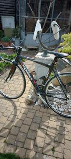 Racefiets thompson maestro carbon, Fietsen en Brommers, Fietsen | Racefietsen, Ophalen, Carbon, Dames