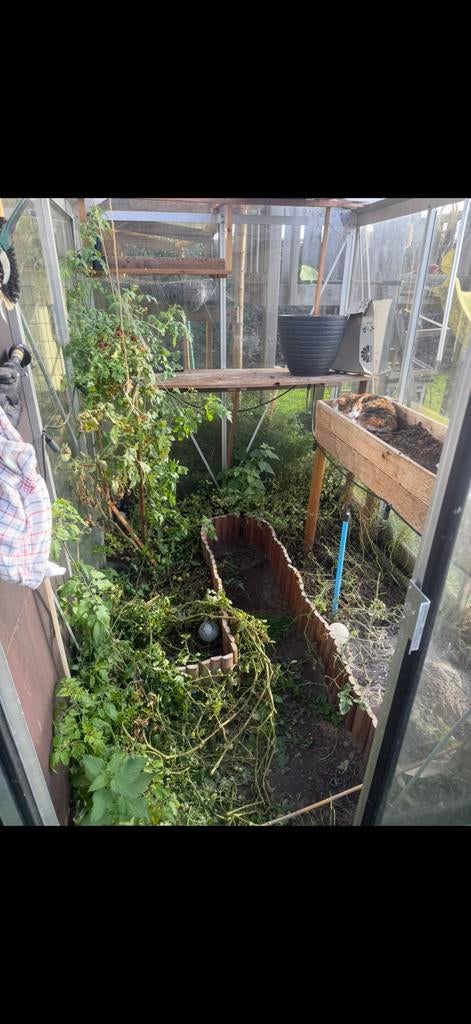 Conservatoire, Jardin & Terrasse, Enlèvement, Comme neuf