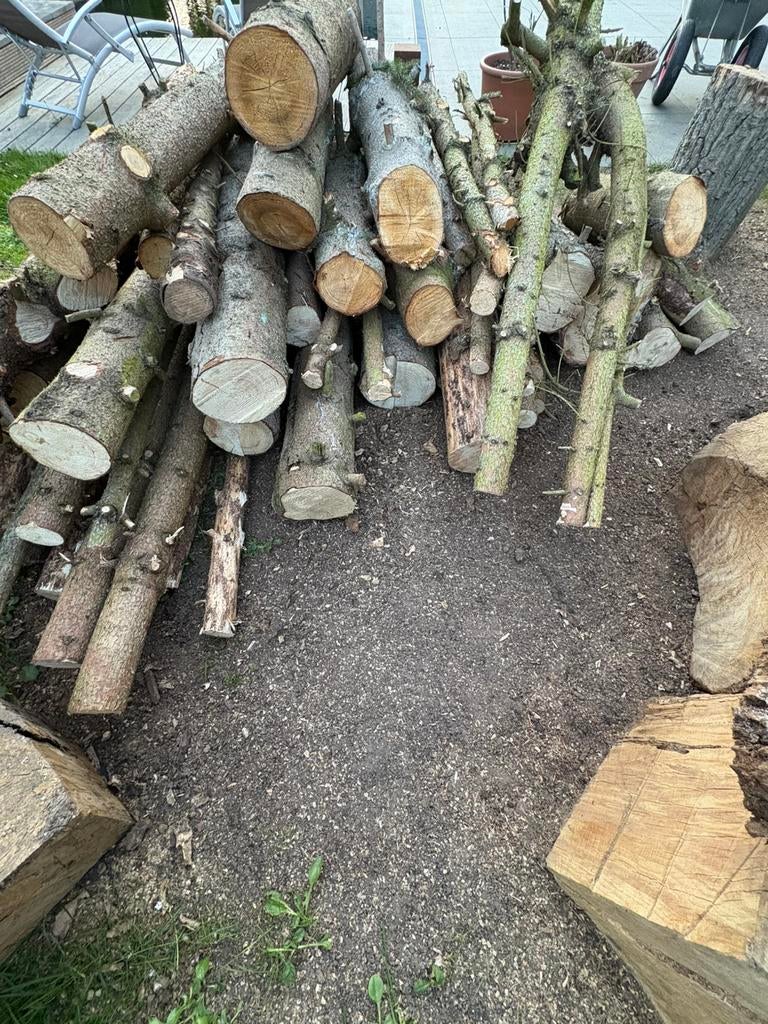 2kuub Stamhout/ brandhout den, Enlèvement