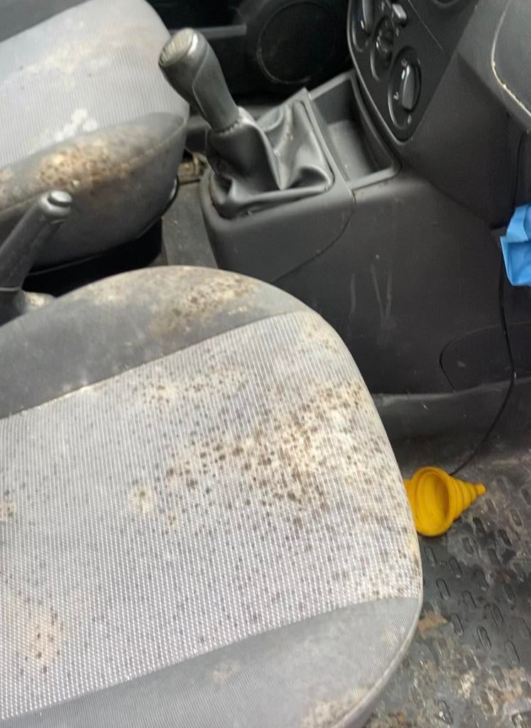 Interieur reineging auto of salonzetels, Enlèvement