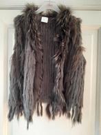 bodywarmer bont  konijn + marmot  Guts Knokke, Vêtements | Femmes, Blousons sans Manches, Enlèvement ou Envoi