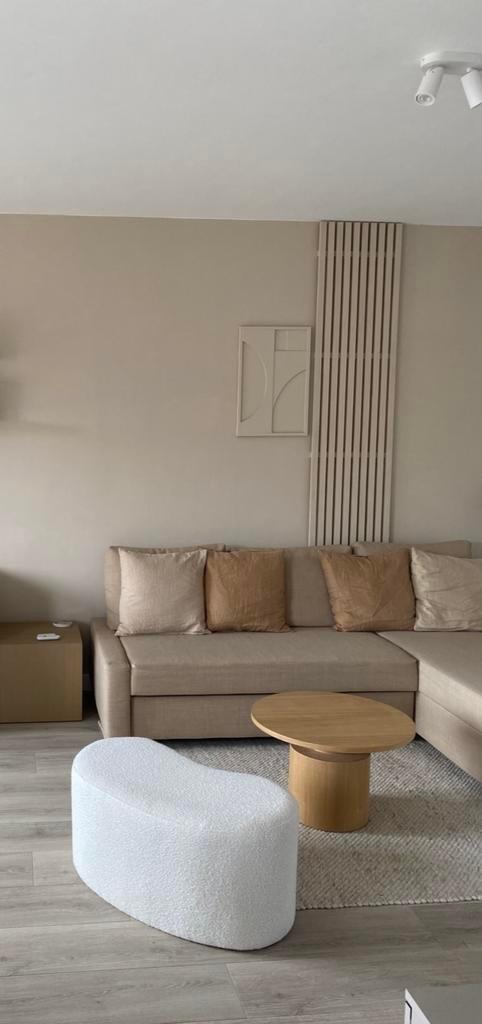 Houten latjes wandpaneel muurdecoratie beige geschilderd, Ophalen, Zo goed als nieuw