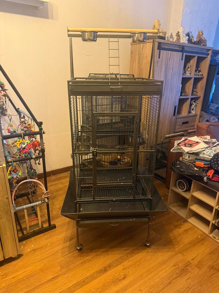 2 papegaaien kooien te koop, Ophalen, Zo goed als nieuw, Metaal, Overige typen