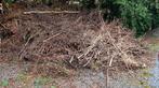 Branches d'arbre, Tuin en Terras, Takkenscharen, Ophalen