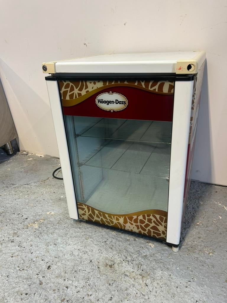 Congelateur HÄAGEN-DAZS, Articles professionnels, Horeca | Food, Congélateur, Enlèvement ou Envoi