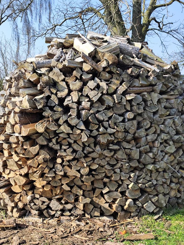 Corsicaanse den gekloofd en een jaar gedroogd., 6 m³ ou plus, Enlèvement, Autres essences de bois, Bûches