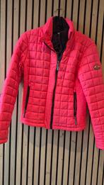 Superdry-jack, Kleding | Dames, Ophalen