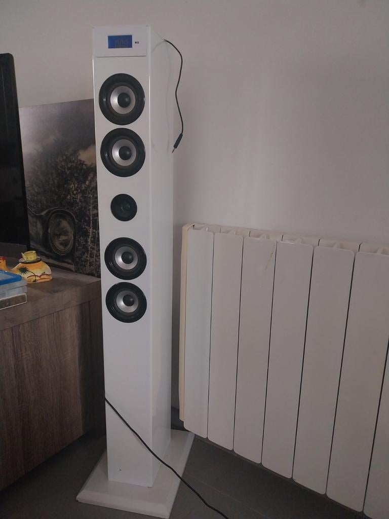 Petite tour  baffle 75 watt, Enlèvement